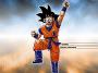 Dragonball 010